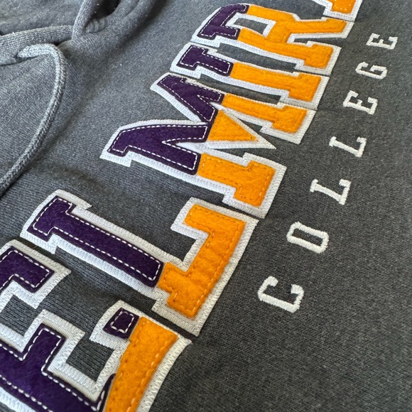 #261 The official Elmira College Soaring Eagles HOODIE. - Picture 3 of 12